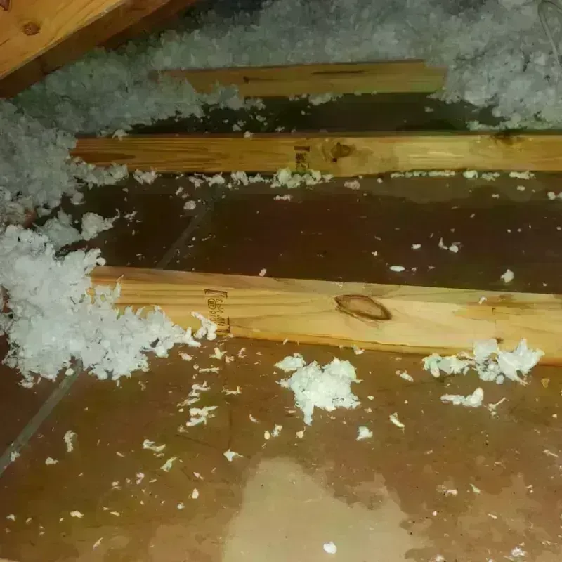 Attic Water Damage in Brenham, TX